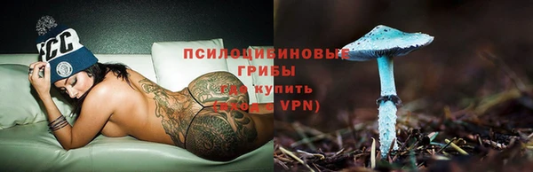 круглые Алексеевка