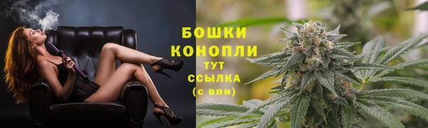 Альфа ПВП Новодвинск