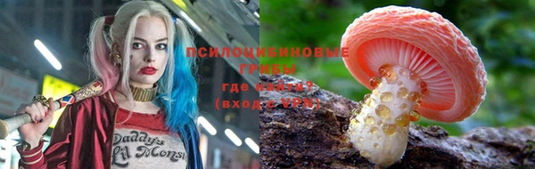 метадон Алзамай