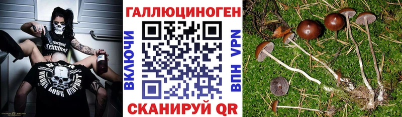 цена наркотик  Кукмор  Галлюциногенные грибы GOLDEN TEACHER 